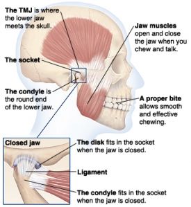 TMD_and_TMJ_images
